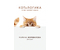 Книга «Котологика. О чем молчит кошка», 125*200*25 мм, 416 страниц