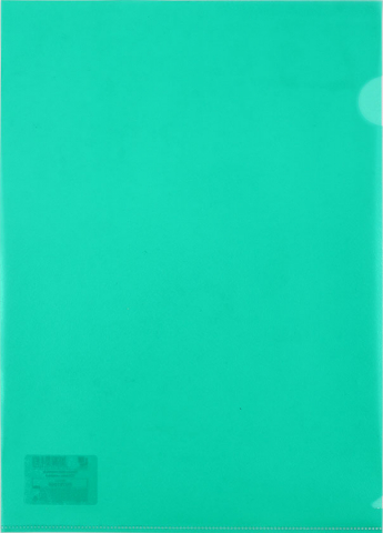 Папка-уголок пластиковая Lite А4 толщина пластика 0,10 мм, зеленая